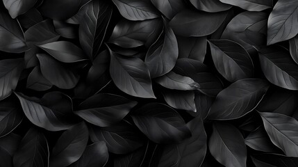 Obraz premium Black leaves background