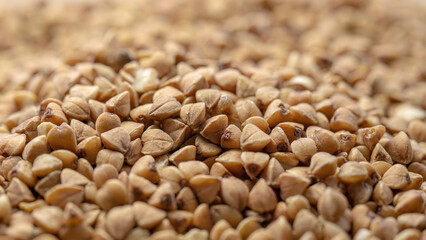 Buckwheat grains close up macro view.