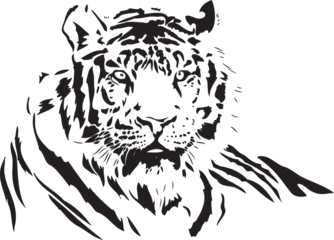 เสื้อนอน002