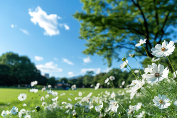 Fototapeta premium Seamless landscape of blooming flowers with bright horizon, creating infinite tilable wallpaper effect