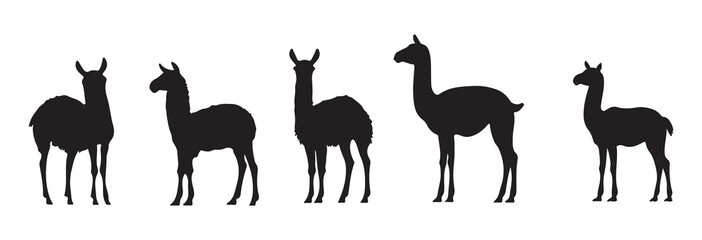  llama animal silhouette cutting stencil templates ,Llama silhouettes set, animal pack of vector silhouette design, isolated background © Never Look Back