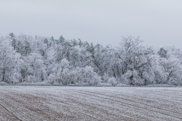 Winter landscape background