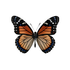 Beautiful Realistic Butterfly with Vibrant Wings on Transparent Background