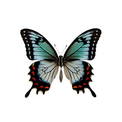 Fototapeta premium Beautiful Realistic Butterfly with Vibrant Wings on Transparent Background