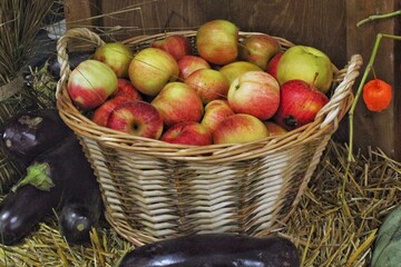 A full wicker rustic basket of fresh, red and green ripe apples. A still life featuring a wicker basket of apples and eggplants on farm market. Concept of autumn, harvest and farm-to-table themes