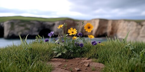 Vibrant Wildflowers Blooming on Coastal Cliff with Ocean Background Under Cloudy Sky