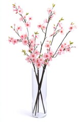 Fototapeta premium Pink Blossom Flowers in Clear Glass Vase with Elegant Design