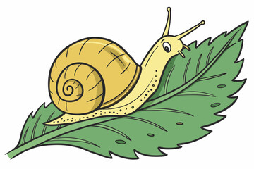 snail on a green background © Sumon