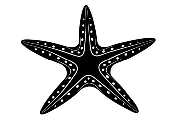 starfish isolated on white background