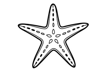 starfish on white background