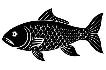 fish on a white background