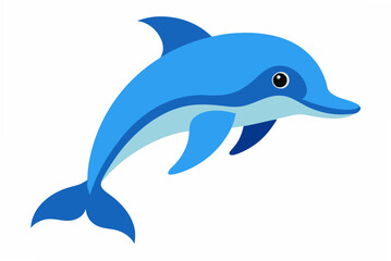 dolphin isolated on white background