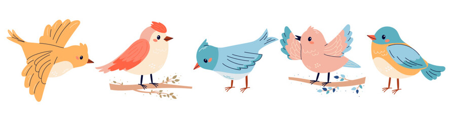 Set of spring birds illustrations in cute  childish style. Different birds. Beautiful and cute multi-coloured birds. Vector cartoon illustration in childish style. Isolated on white.