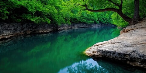 Serene River Landscapes Under Lush Green Trees with Calm Water Reflections in Nature