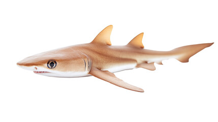 Fototapeta premium Shark isolated on white transparent background
