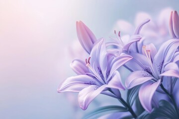 Fototapeta premium Purple lilies with delicate petals on a pure white background, high-definition detail