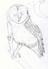 Big owl perched on a branch beneath a crescent moon. Perfect for fantasy and nature-inspired projects, coloring books, greeting cards. Minimalist line art sketch with owl on the branch on white paper.