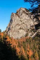 Scenic view of mountain peak Pribitz in Hochschwab region, Styria, Austria. Steep rocky cliffs covered in deciduous trees in vibrant autumn colors. Wanderlust Austrian Alps. Golden coniferous forest