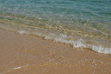 눈부시게 부서지는 파도의 겨울 바다

The winter East Sea, with its clear waters and crashing waves, exudes both the raw power and peaceful tranquility of nature, shining brightly under the cold sunlight.