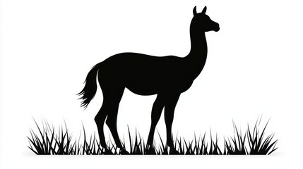 Obraz premium Silhouette of Llama in Grassland South American Animal Graphic