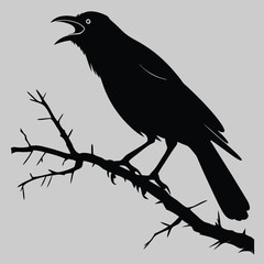 talking bird silhouette vector design art and illustration