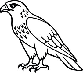 Realistic Eagle Vector Illustration for Coloring Book