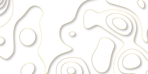 Abstract topographic contours map background, White wave paper curved reliefs abstract background. geographic line map Modern design with White with topographic wavy pattern design.