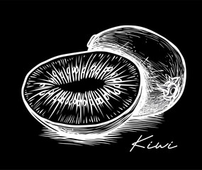Kiwi fruit hand drawn black and white vector illustration