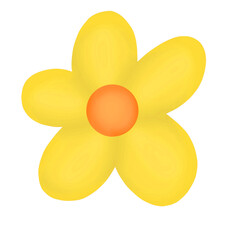 yellow flower isolated on white, yellow flower, yellow flower on white background, petal 