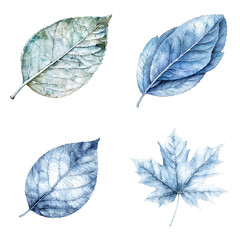 Frosted leaves art nature photography botanical display cool color palette macro view seasonal beauty