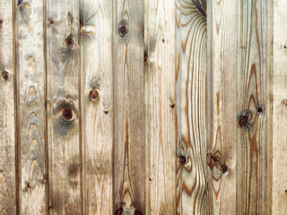 Rustic wood panel texture with knots and grains ideal for backgrounds and copy space