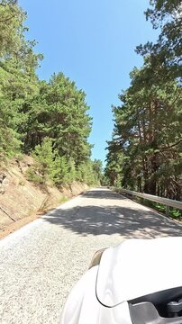 Vertical video of driving on a mountain road between trees, in the Sierra de Guadarrama, in Madrid, Spain
