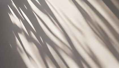 Dynamic, elongated shadows create an abstract, flowing pattern across a light surface.