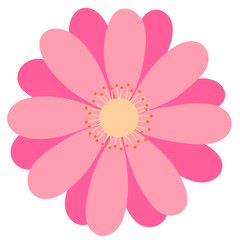 pink flower 