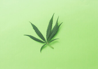 Cannabis leaf on green background with copyspace