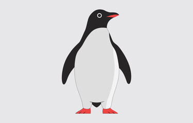 Cartoon  Penguin illustration vector art on white background