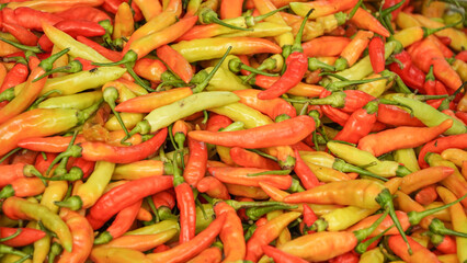 Pile of various chilies sold in Indonesian traditional wet market. 