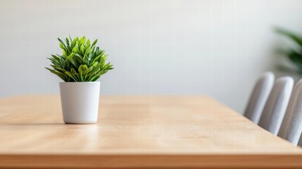 Small plant decorating modern office meeting table