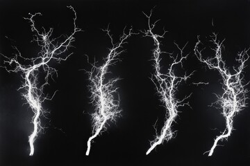 four branching white patterns against a black background