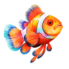 Colorful Fish