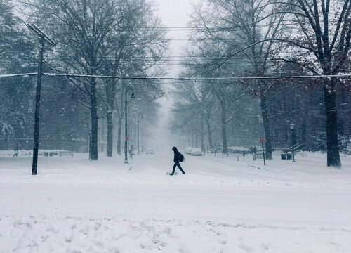 A person walking in the street with tress in view during a snow storm on a very cold gray winter day with freezing temperatures. 