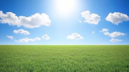 Obraz premium Sunny day, vibrant green field under a bright blue sky with fluffy white clouds. (1)