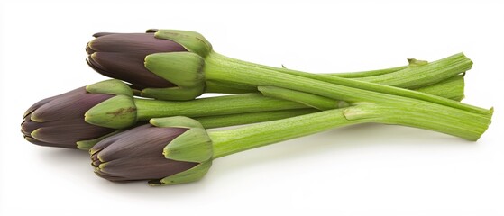Fresh Purple Artichokes with Green Stems on White Background for Culinary Uses