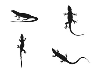 lizard silhouette vector set illustration. Lizard vector icon logo and symbols template. The leopard gecko silhouette set collection isolated black on a white background. 