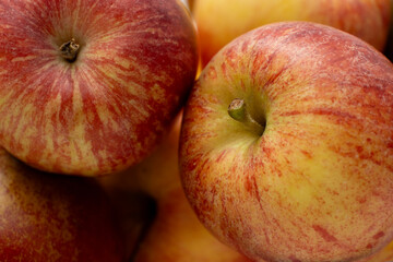 Red apples close-up. Copy space