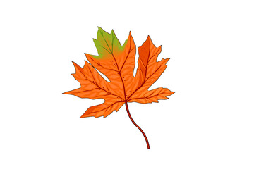 Fototapeta premium red maple leaf