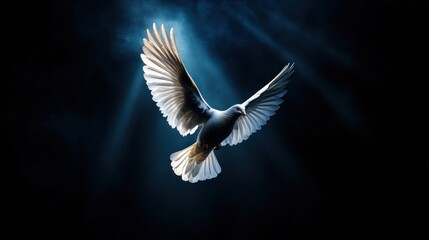 Obraz premium bird with outstretched wings gracefully flies through beams of light in a dark setting, showcasing its elegance and freedom, creating a captivating visual experience