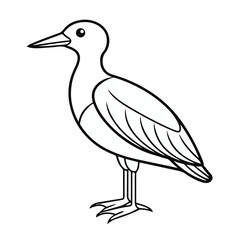  vector bird art free download 