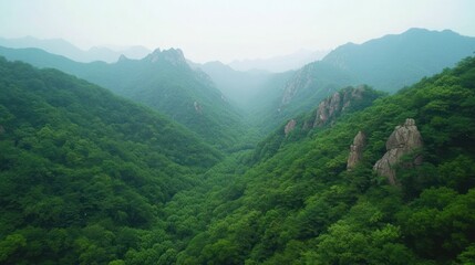 Obraz premium Lush green mountains and valleys under a hazy sky, showcasing natural beauty and tranquility.