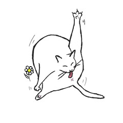 cat cat
